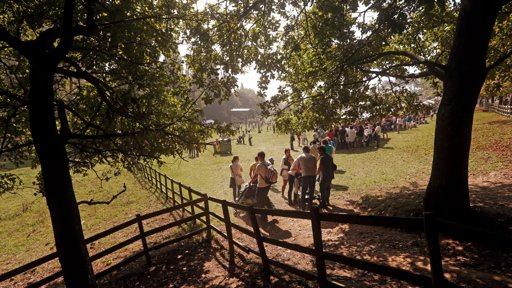 Festa do Outono regressa a Serralves com 150 atividades gratuitas