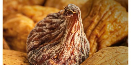 Torres Novas Afirma-se como Capital dos Frutos Secos com 38.ª Edição da Feira Nacional