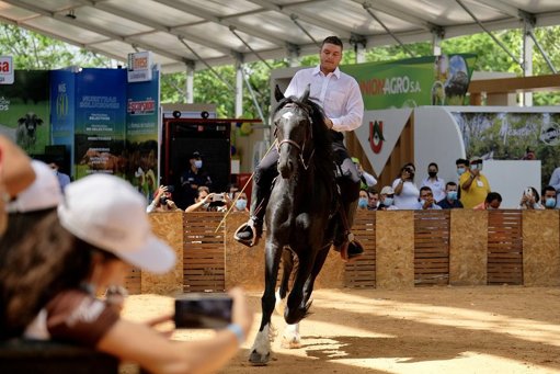 La 75ª Feria Ganadera de Colombia se celebra en el área metropolitana de Bucaramanga