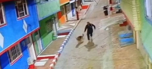 Histórico Fallo Judicial: Envían a Prisión al Primer Hombre por Abuso Sexual de un Animal bajo la Ley Ángel