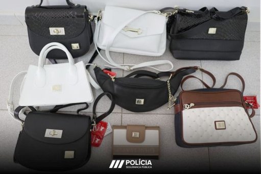 PSP de Santarém recupera malas furtadas com recurso a videovigilância