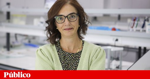 Portugal lidera consórcio para desenvolver adesivo não invasivo que monitoriza glucose no suor