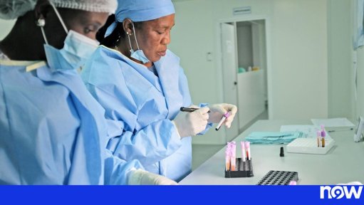 Descoberta em Portugal bactéria com potencial para tratar inflamação intestinal