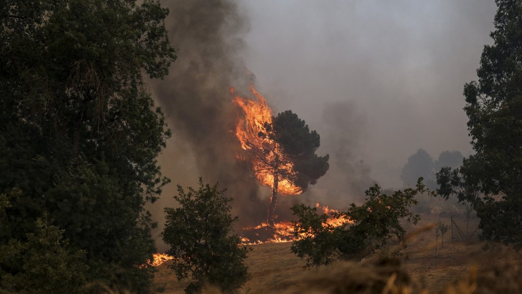 Aldeias em Confinamento e Planos de Emergência Ativados na Covilhã e Fundão