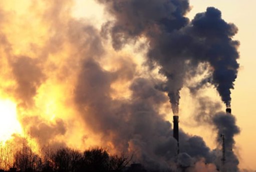 Câmara do Crato suspende empresa de bagaço de azeitona por riscos ambientais e de saúde pública