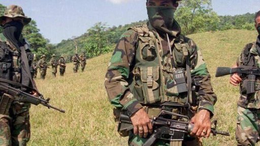 Grupos armados ilegales en Colombia superan los 25.000 miembros, un 15% más que a inicios de 2025