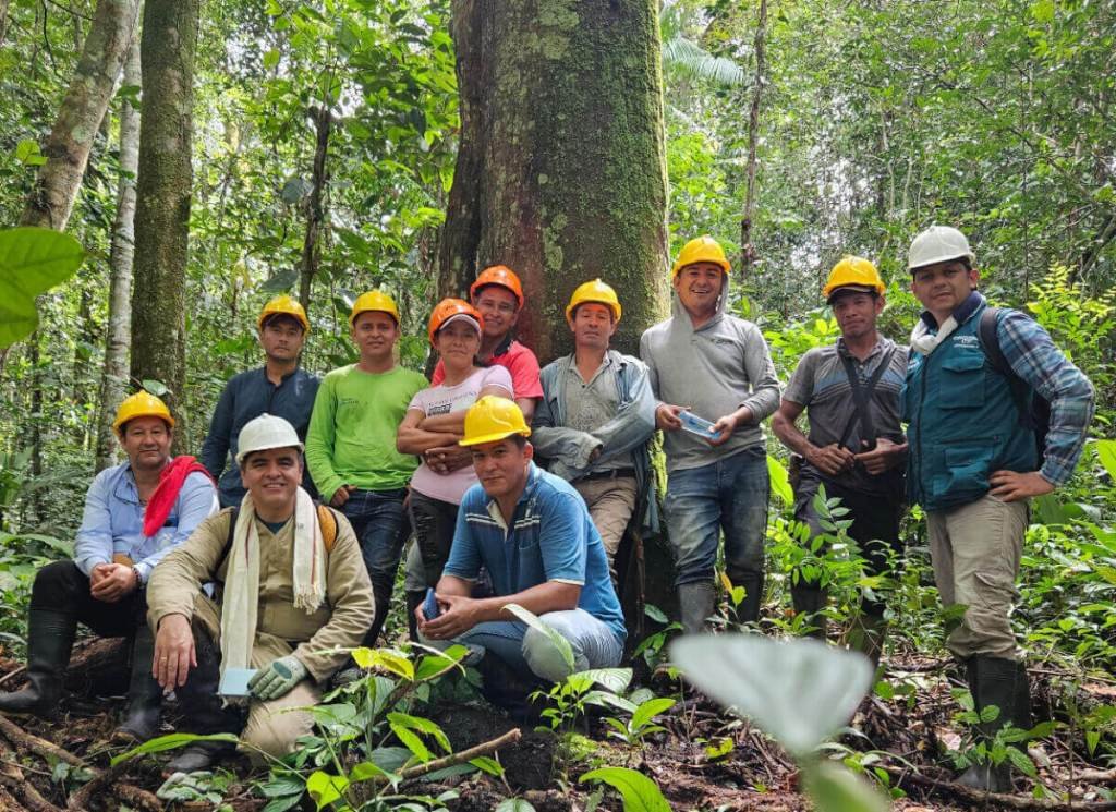Aumenta la deforestación en Colombia durante 2024, con la Amazonía como epicentro de la crisis