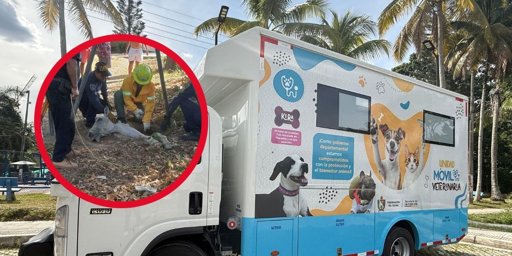Establecen Rutas de Atención para Casos de Maltrato Animal en el Tolima