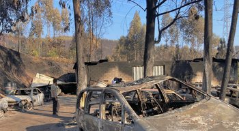 Verão extremo custa mais de 40 mil milhões de euros à Europa e impulsiona novas políticas climáticas