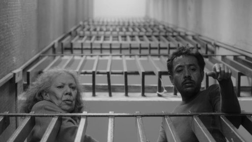 "No nos moverán" es elegida para representar a México en los Premios Oscar y Goya