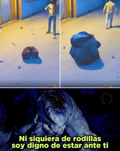 Hombre en situación de calle que protegió a un perro del acoso se convierte en símbolo de empatía