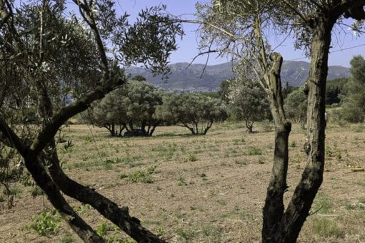 Une épargne citoyenne permet de préserver 162 hectares de terres agricoles en région Sud