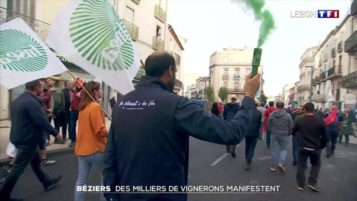 Société : Les viticulteurs manifestent à Béziers face à une crise sans précédent