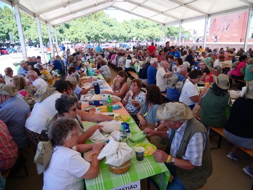 Piquenicão Concelhio de Setúbal Bate Recorde de Participação com Mil Seniores