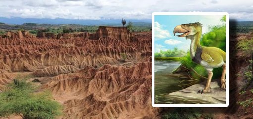 Hallan en el desierto de La Tatacoa el fósil de una segunda y más grande 'ave del terror'