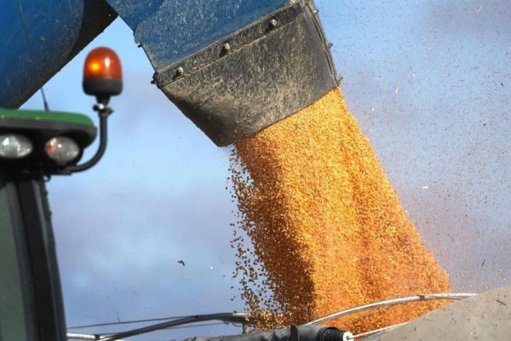 Agricultores anuncian movilizaciones nacionales para exigir la exclusión de granos del T-MEC