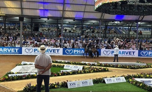 Región Cali-Palmira se Consolida como Epicentro Ecuestre con el Mundial de Caballos de Paso
