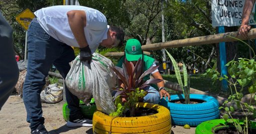 Medellín transforma 169 focos de basura en jardines y espacios culturales