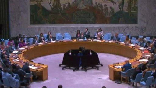 ONU Aprueba Nueva Fuerza de Seguridad para Combatir Pandillas en Haití