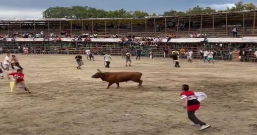 Corte Constitucional prohíbe corridas de toros, peleas de gallos y corralejas en Colombia