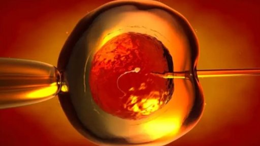 Crean Óvulos Humanos a Partir de Células de la Piel en un Hito para la Fertilidad