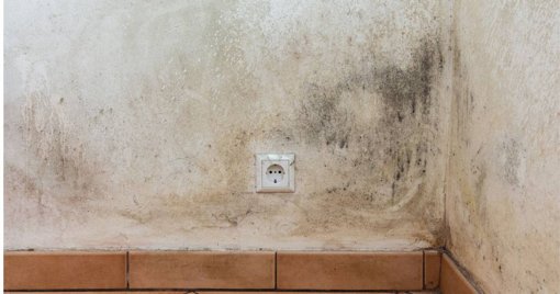 Mais de meio milhão de pessoas em Portugal vive em situação de pobreza habitacional