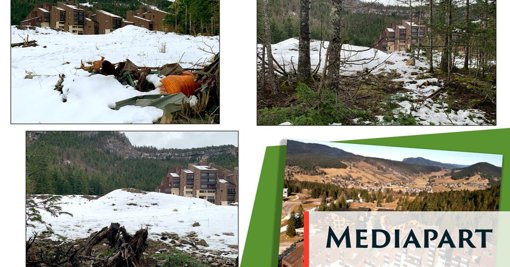 Un projet immobilier controversé dans le Vercors freiné par la présence de plantes protégées