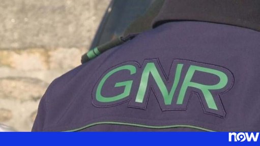 GNR apreende mais de meia tonelada de pescada subdimensionada na Nazaré