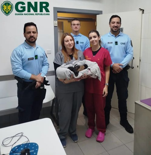 GNR resgata ninhada de cachorros de poço e detém suspeito em Ponte de Lima
