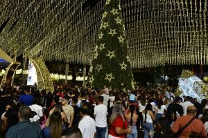Pereira se Convierte en la Primera Ciudad del País en Encender su Alumbrado Navideño