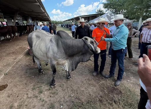 Nuevo León Refuerza Medidas Sanitarias ante Amenaza del Gusano Barrenador