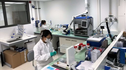 Sindicato do Ensino Superior Alerta para Risco de Falta de Docentes nas Universidades