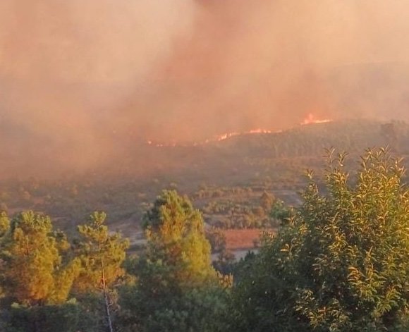 Vastas áreas do país em perigo máximo de incêndio rural face a onda de calor