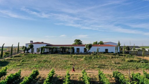 Esporão vende cerveja artesanal Sovina à Musa e estabelece parceria estratégica