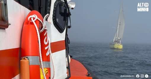Interação com Orcas Danifica Veleiro e Desencadeia Operação de Salvamento ao Largo de Viana do Castelo