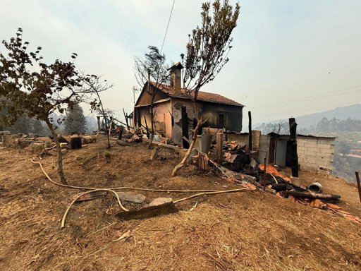 Arouca cria balcão de apoio a agricultores afetados pelos incêndios