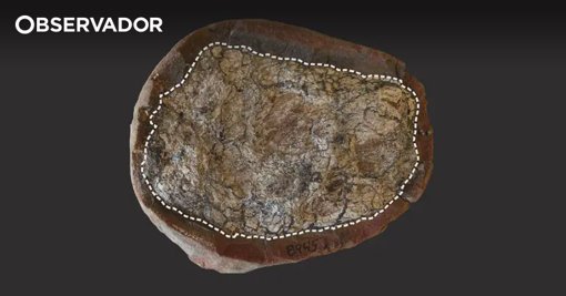 Excrementos com 300 milhões de anos revelam novo mecanismo de fossilização molecular