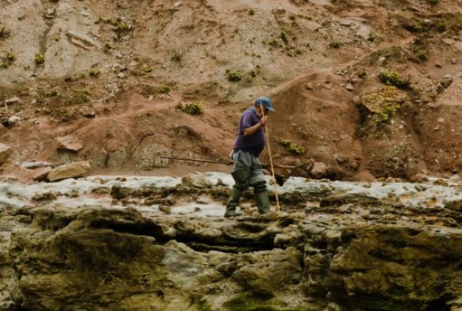 Azenha do Mar Celebra Cultura Costeira com Evento Dedicado às Algas