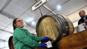 Celebrações de São Martinho em Penafiel Reforçam Identidade e Tradição