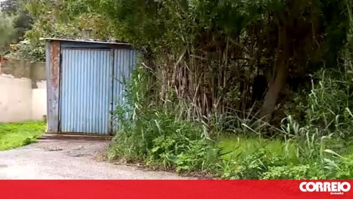 PJ Investiga Homicídio de Homem Encontrado em Canavial de Oeiras