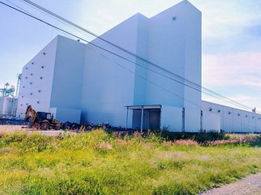 Productores de maíz y harineras Maseca y Minsa en conflicto por precios justos