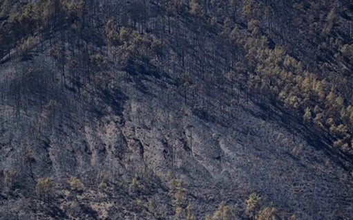 Bombeiro da Covilhã morre em acidente a caminho de incêndio no Fundão