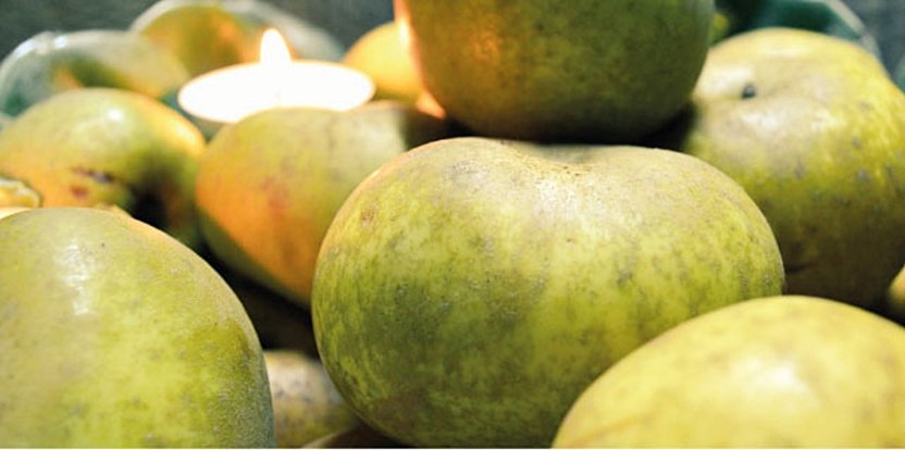 Maçã Reineta de Sintra: Qualidade e património cultural confirmados por estudo científico