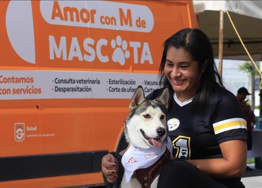 Municipios metropolitanos promueven el bienestar animal con nuevos reglamentos y campañas