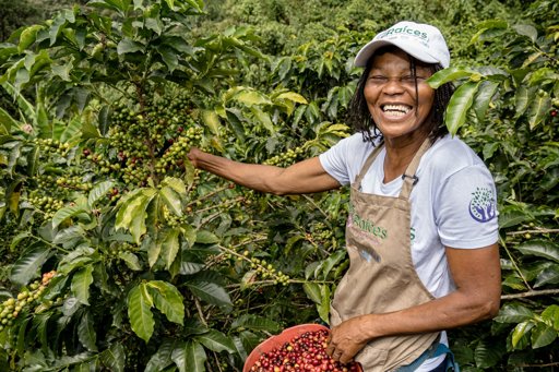 Brechas de Género en el Campo: Mujeres Rurales Enfrentan Desigualdad Laboral y Sobrecarga de Cuidados no Remunerados