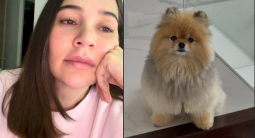 Lina Tejeiro conmueve las redes con su despedida a su perro Romeo