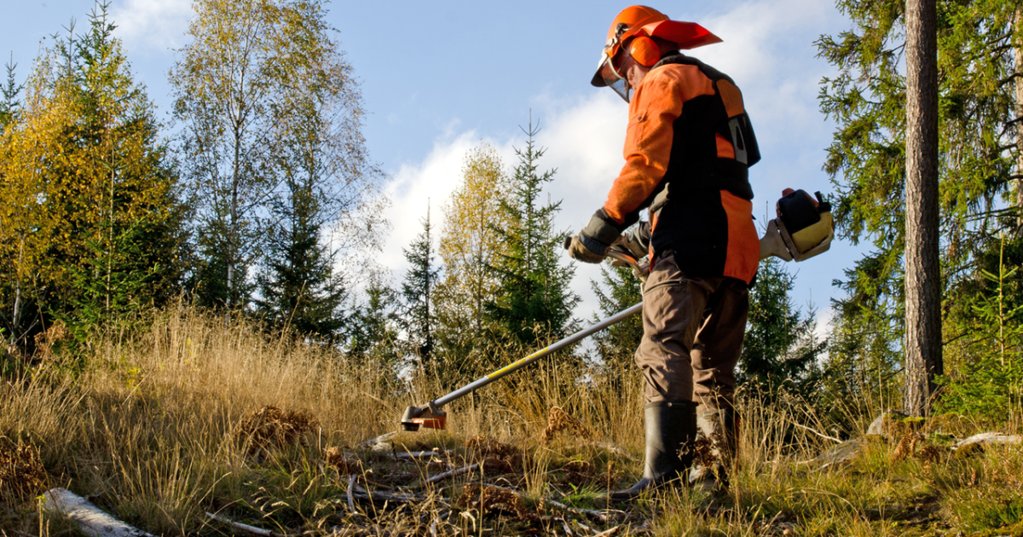 Proteção Civil proíbe queimadas e uso de maquinaria face ao elevado risco de incêndio