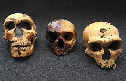 Hallan en Israel la evidencia más temprana de hibridación entre Homo sapiens y neandertales