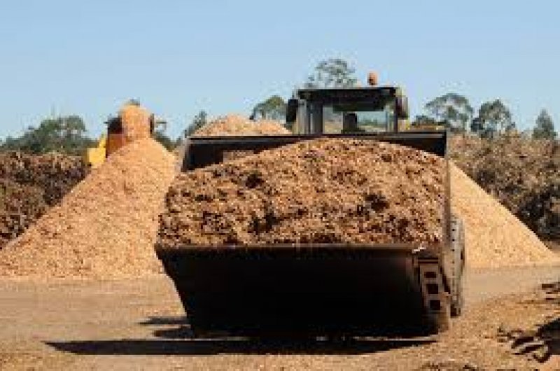 Governo Apoia com 2 Milhões de Euros a Instalação de Centrais de Biomassa