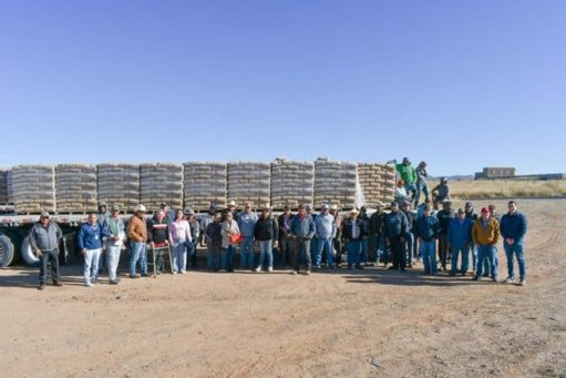 Gobierno de Guerrero apoya a 75 familias campesinas con cemento para mejorar sus viviendas